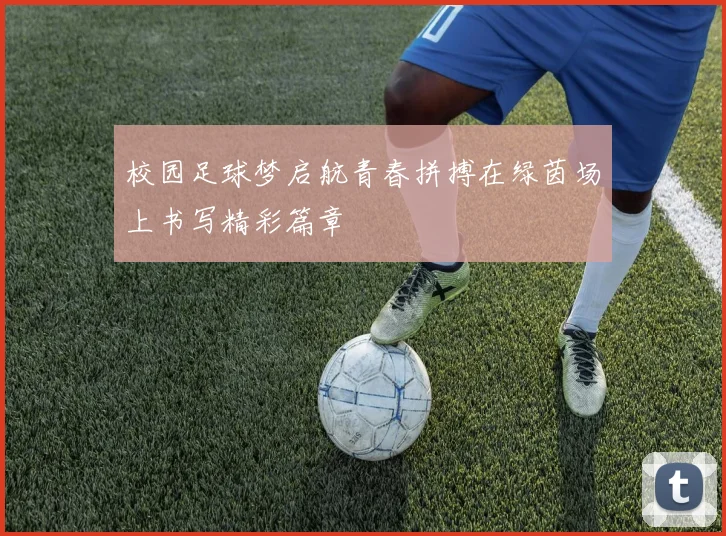 校园足球梦启航青春拼搏在绿茵场上书写精彩篇章