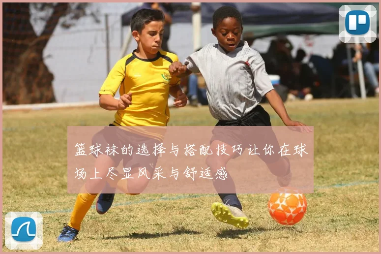篮球袜的选择与搭配技巧让你在球场上尽显风采与舒适感