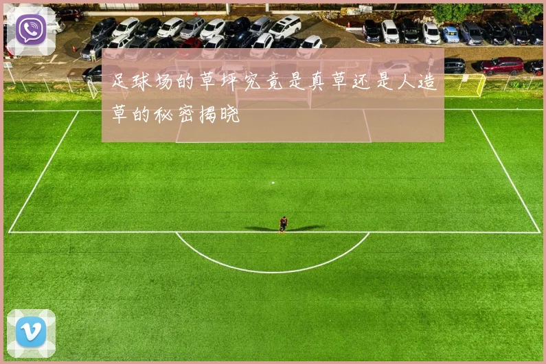 足球场的草坪究竟是真草还是人造草的秘密揭晓