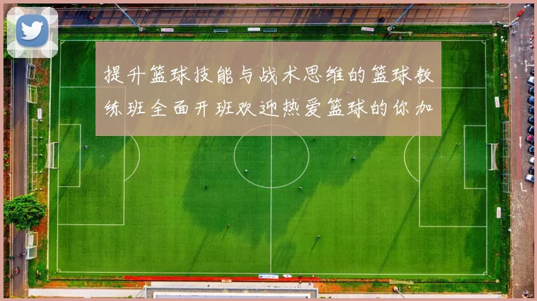 提升篮球技能与战术思维的篮球教练班全面开班欢迎热爱篮球的你加入我们