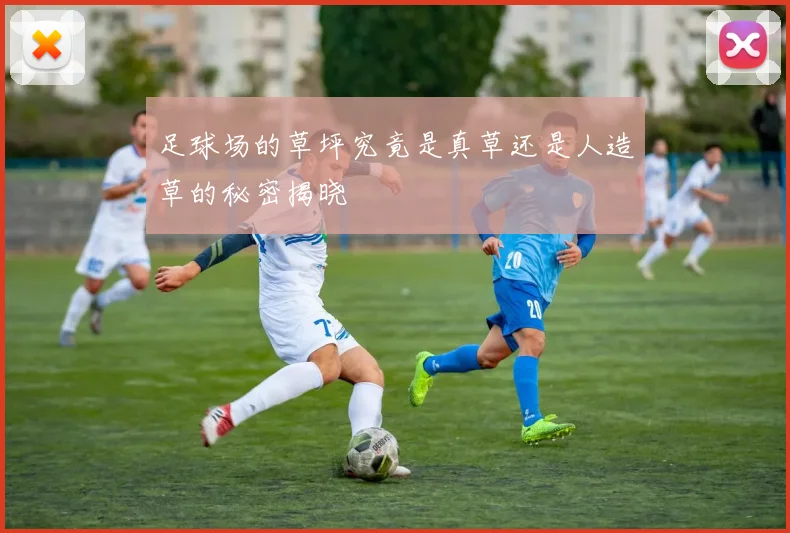 足球场的草坪究竟是真草还是人造草的秘密揭晓