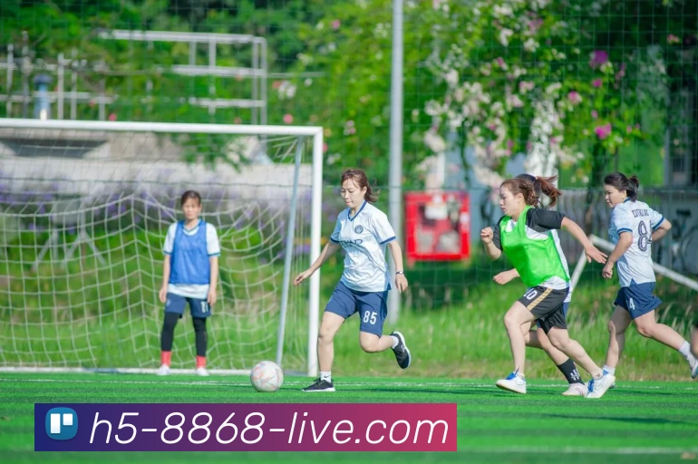 多媒体互动体验